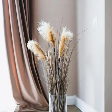 Appartement 7-17 Zorilor