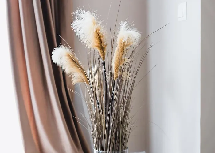 Apartment 7-17 Zorilor