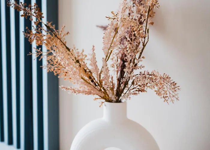 Apartment 7-17 Zorilor Cluj-Napoca