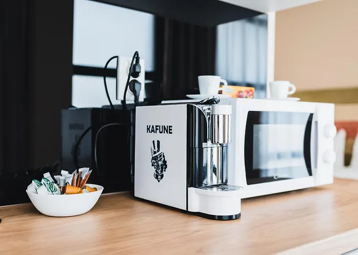 Apartment 7-17 Zorilor